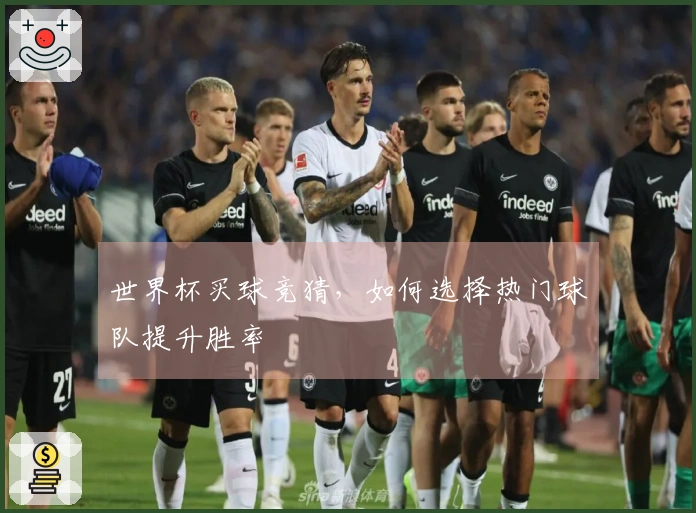 世界杯买球竞猜，如何选择热门球队提升胜率