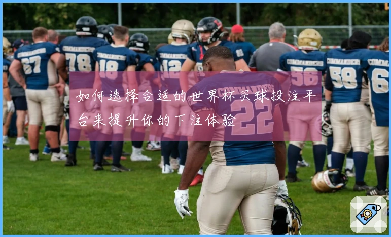 如何选择合适的世界杯买球投注平台来提升你的下注体验