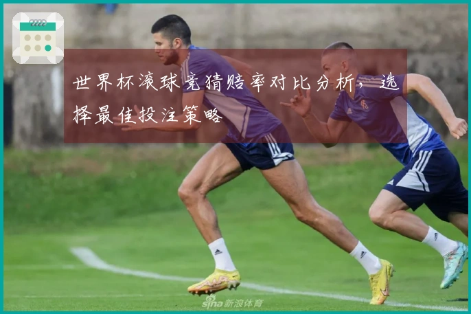 世界杯滚球竞猜赔率对比分析，选择最佳投注策略