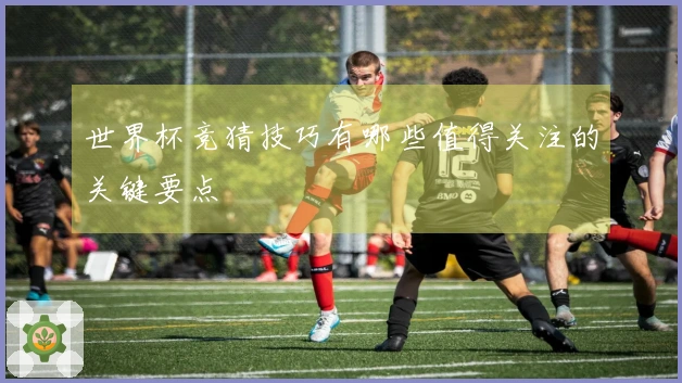 世界杯竞猜技巧有哪些值得关注的关键要点