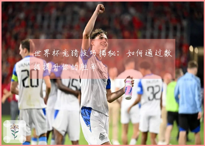 世界杯竞猜技巧揭秘：如何通过数据提升你的胜率